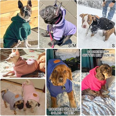 BEAUTYZOO Dog Hooded Sweatshirt for Small, Medium, and Large Dogs, Winter, Autumn, Warm Dog Clothes for Puppies, S, M, Dogs, Girls, Boys, Dog Sweater, Shirt, Hoodies with Pocket
