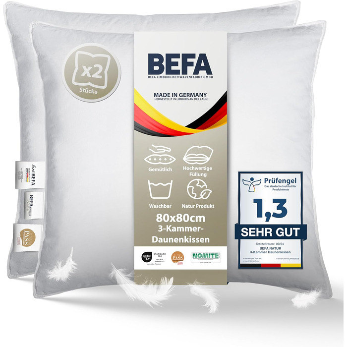 BEFA NATUR Made in Germany 3-Chamber Pillow 80x80 cm made of 90% down and 10% feathers, suitable for allergy sufferers (Nomite), Öko-Tex 100 Class 1 certified, EN Standard 12934, Downpass (2 pieces) 80 x 80 cm (2 pieces)