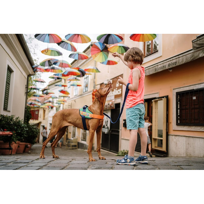 Нашийник для собак Paw Patrol JK9, Розмір L (Rocky)