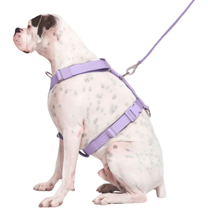 Шлейка для собак Spark Paws No Pull для великих порід, фіолетовий колір, розмір L (23-39 кг), Y-подібна конструкція, міцна та надійна
