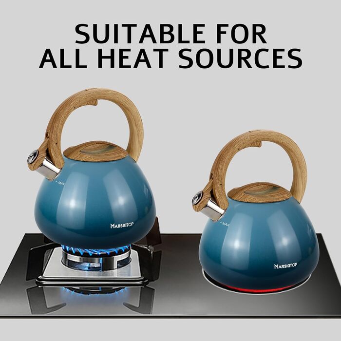 Чайник заварний з нержавіючої сталі Teekessel для плити та індукції, 2.5 л (світло-зелений)