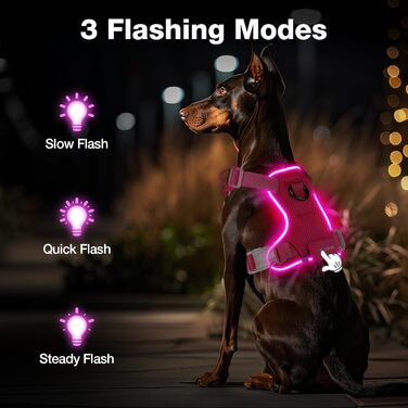 Світловідбиваючий нашийник для собак великих порід з LED-підсвічуванням, акумуляторний, регульований, 3 режими освітлення, висока видимість (Рожевий, Large)