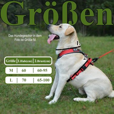 Нашийник для собак III Y - міцний, елегантний та комфортний. Унікальний дизайн для середніх та великих собак. Червоний, L