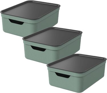 Rotho Jive 3-Piece Storage Box Set, 10L with Lid, Plastic, Anthracite (Green)
