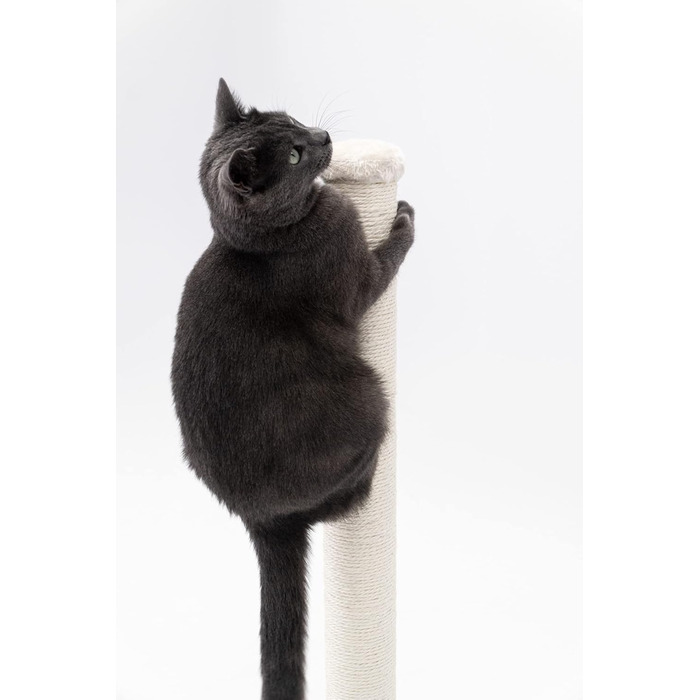 Petrebels Premium Quality Scratching Post Maine, 90 cm High, with Extra Stable Base Plate and Natural Sisal Post, 40 x 40 x 90 cm, Cream/Beige Color
