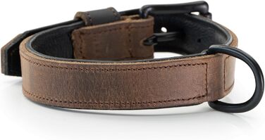 Нашийник для собак Джек Рассел з натуральної шкіри та неопрену – м'який та міцний нашийник для маленьких та великих собак – преміум нашийник Craig (L) L (42.0-51.0 см)