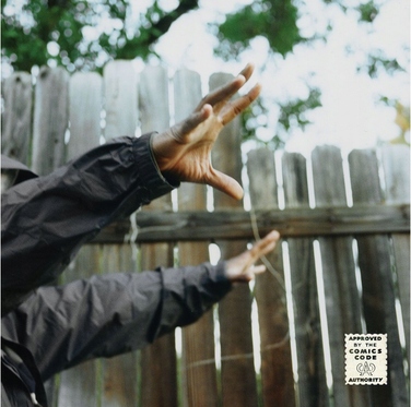 Вінілова платівка Madvillain — Madvillainy
