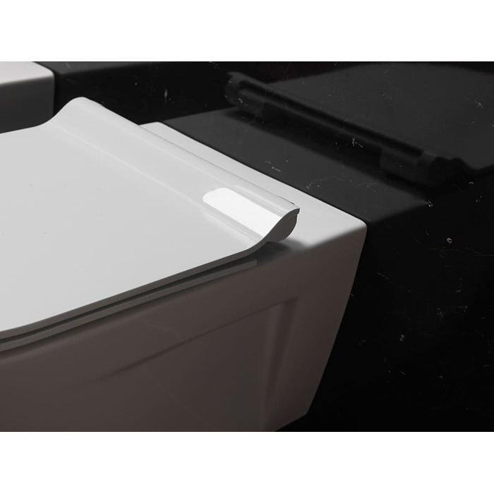 Сидіння для унітаза GSI Ceramica — білий дуропласт