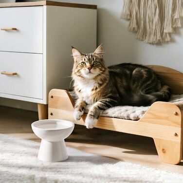 Керамічна миска для котів з піднятою платформою, 2 шт., блакитна, проти блювоти, для собак та котів