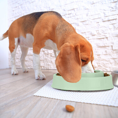 Relaxdays Anti-Sliding Pet Bowl - 400 ml