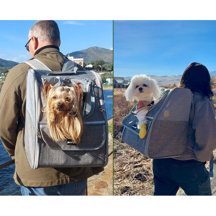 Рюкзак для кота Pecute з сіткою, дихаючий та легкий, для собак та котів до 6 кг (Світло-сірий)