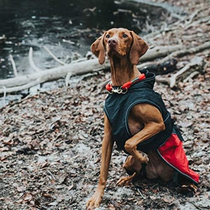 Hunter UPPSALA ALLROUNDER Dog Coat, 2-in-1, Detachable Fleece Lining, Water-Repellent, Size 50, Anthracite/Red 50 Anthracite/Red
