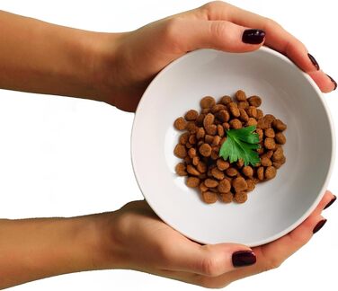 Миска для собак Draiax ElegantFeed M з кераміки – чорна, з матовим зовнішнім та глянцевим внутрішнім покриттям