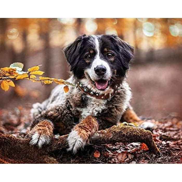 MICHUR Lakota Dog Leash, Leather, Flat Leash, Leather Lead Dog, MATCHES Lakota Collar, Brown, Leather Size (approx.) 150x2.5cm (Neck circumference 30-34.5cm)
