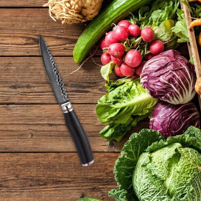 Wakoli EBO Преміум Дамаст універсальний ніж з лезом 12 см, виготовлений з 67 шарів справжнього дамастської сталі та чорного дубового дерева | Ніж Дамаст, кухонний ніж, професійний кухарський ніж