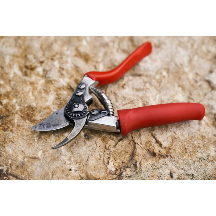 Секатор FELCO 15 з роликовою ручкою та складана пилка FELCO 600 (лезо 16 см, діаметр зрізу 50 мм, довжина 35 см, для обрізки гілок, садовий інструмент)