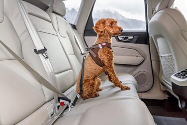 Large Car Safety Belt V2 L - Enhanced Vehicle Safety Restraint