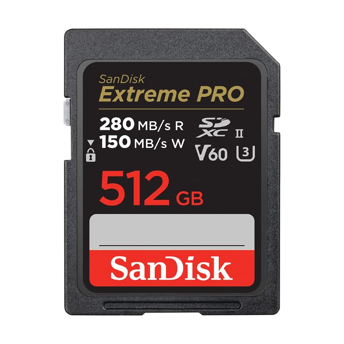 Карта пам'яті SanDisk Extreme PRO SDXC UHS-I 256GB V30 U3 (швидкість до 200 МБ/с, 4K UHD, QuickFlow)