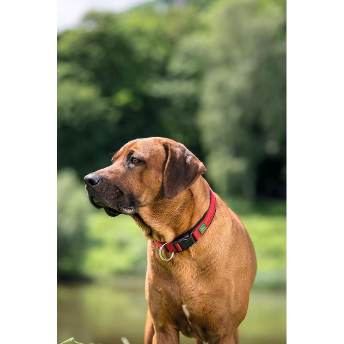 Нашийник для собак HUNTER Neopren Vario Plus, червоно-чорний, L-XL/2,5, міцний нейлон, м'яка неопренова підкладка, регульований, з поглиначем ривка, зручний, легкий у догляді