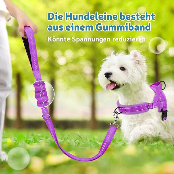 Шлейка для собак SlowTon з поводом, анти-тягнуча, регульована, світловідбиваюча, для цуценят та собак малих та середніх порід, безпечна, запобігає задушливості, зелена (XXS, фіолетова)