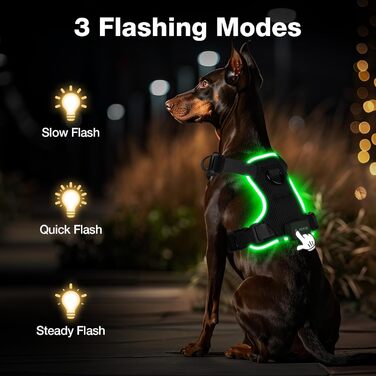 Світловідбиваючий нашийник для собак великих порід з LED підсвічуванням, акумуляторний, регульований, 3 режими освітлення, висока видимість (Чорний, XS)