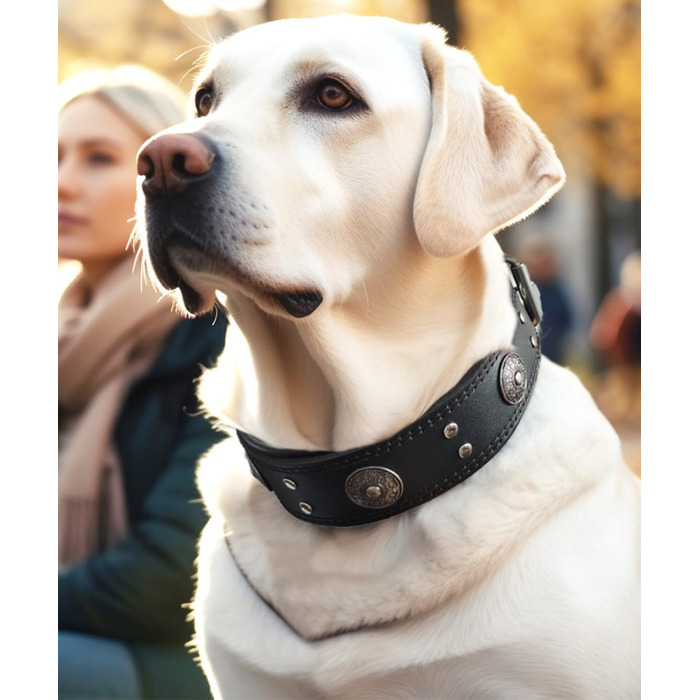 Нашийник для собак з натуральної шкіри, 5 см, ручної роботи, чорний, розмір S (38-49 см)