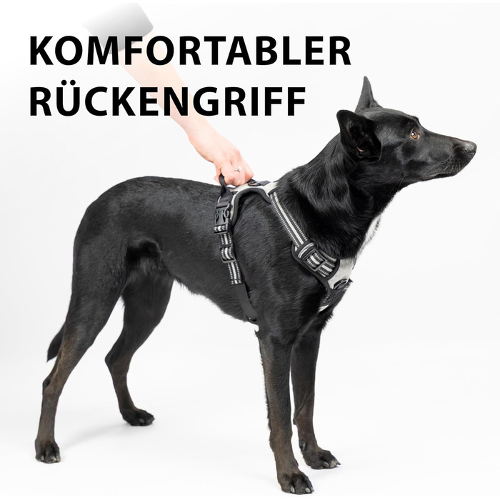 Шлейка для собак Ferplast середнього розміру, 2 гачки для контролю, шлейка від тяги, регульована, світловідбиваюча та дихаюча, ідеальна для тренувань, M, Бежево-коричнева