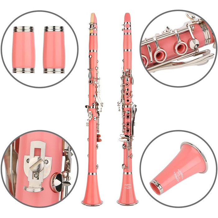 Професійна кларнет Glory GLY-CLAGN з ебоніту, Bb, з аксесуарами (10 вставок, стійка, кейс, серветка, щітки), зелений (рожево-сріблястий)