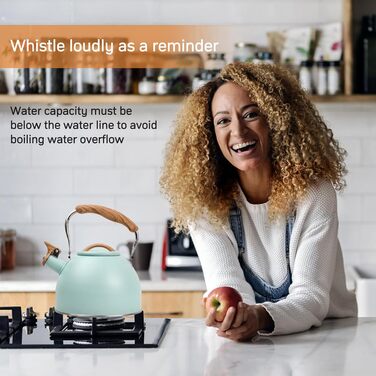 Чайник Wisebom Flötenkessel 3L: Ретро модель з нержавіючої сталі для індукційних та газових плит, з дерев'яною ручкою. Ідеально для чаю та кави.