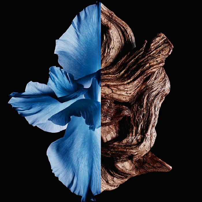 Парфумована вода Rasasi La Yuqawam Pour Homme, 75 мл