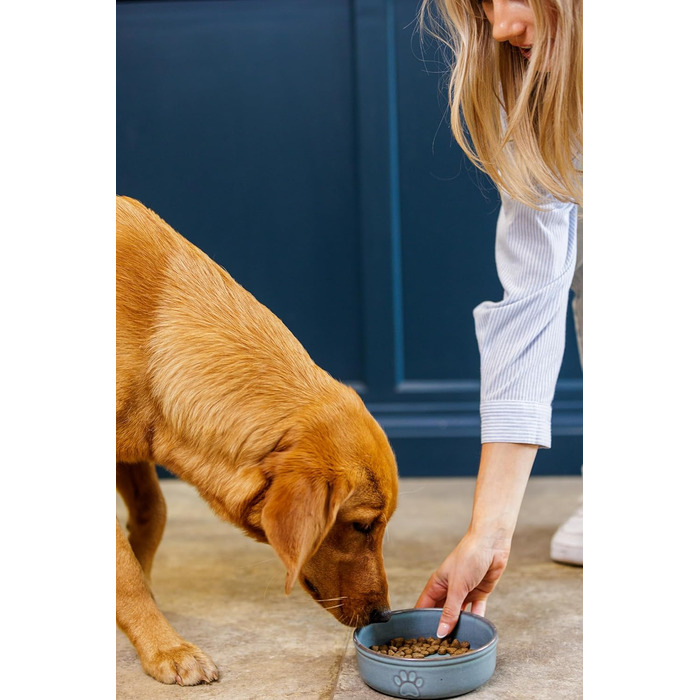 Миска для собак Mason Cash Reactive Paw, 18 см, 950 мл, для середніх та великих собак, кераміка, безпечна для миття в посудомийній машині та заморожування