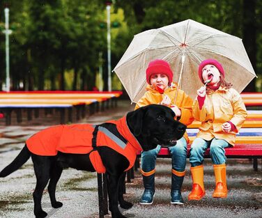 Lautus Pets Dog Raincoats, Waterproof, Reflective, Light-Colored with Leash Hole (Orange, S)