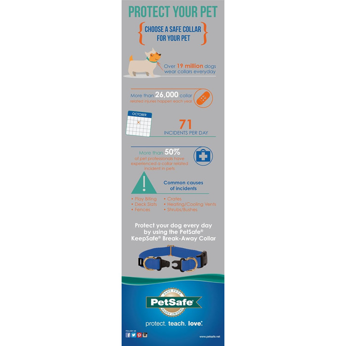 PetSafe KeepSafe нашийник для собак, нейлон, міцний, з патентованою безпечною застібкою, для всіх порід, середній (2 дюйми), чорний, маленький (0.75 дюйм)