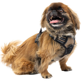 розмір: малий