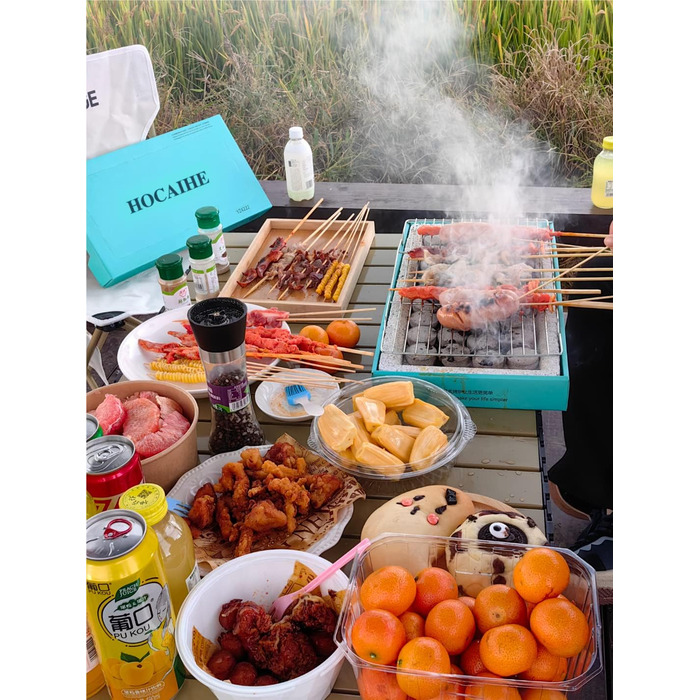 Disposable Grill, Portable Charcoal Grill, Grill Set for Indoors and Outdoors, Lightweight, Ready to Use, for BBQ, Picnic, Camping, Deck