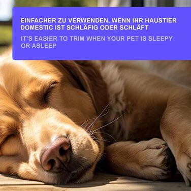 Професійна кусачка для собак та котів 15,5 см з нержавіючої сталі з пилочкою для нігтів. Кусачки для нігтів, висока якість. Для великих та маленьких собак, з захистом від защемлення. Чорно-синій колір.