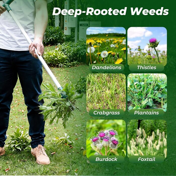 Walensee Weed Puller, Weed Remover, Length 100cm, with THREE jaws for efficient weed removal, claws and pedals made of thickened and hardened stainless steel, gardening tool
