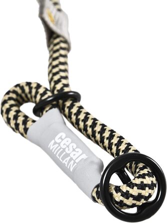 Leine - Training leash for dogs - 2in1 dog collar and leash - Slip lead - Retriever leash with integrated collar (Small/Medium - Color: ) - Length 120 cm, Diameter 1 cm (Normal, Multi-colored)