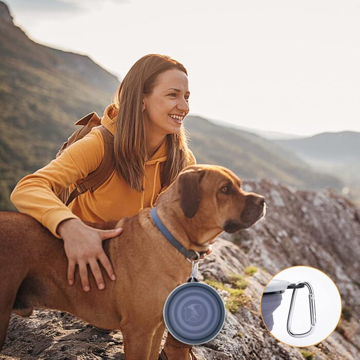 SLSON Складані годівниці для собак, 2 шт., годівниця з кришкою та карабінами, для вигулу, подорожей та повсякденного використання (L, haze purple cool gray)