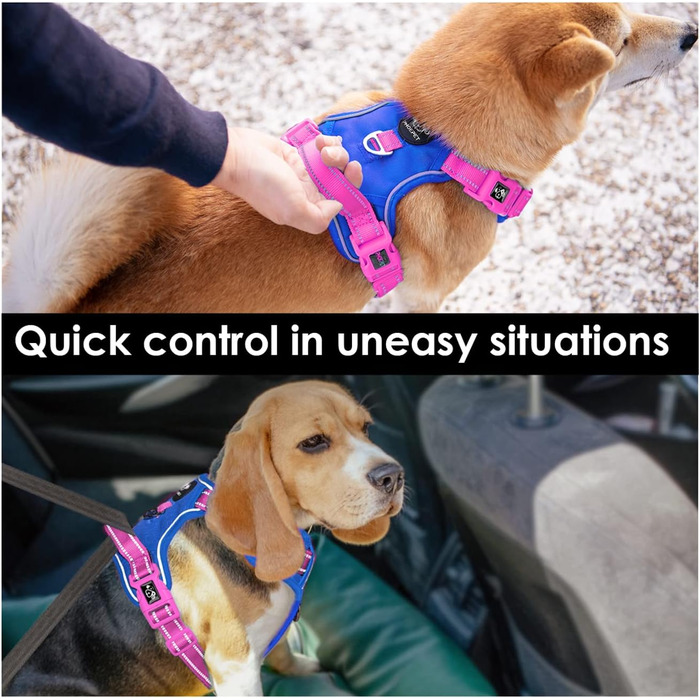 Нагрудник для собак PHOEPET без обмеження руху, світловідбиваючий, регульований, з ручкою для тренувань + 2 гачки для повідка + 3 застібки-клипси + 4 ковзні пряжки (M, Ко́ролівський синій та рожевий, L)
