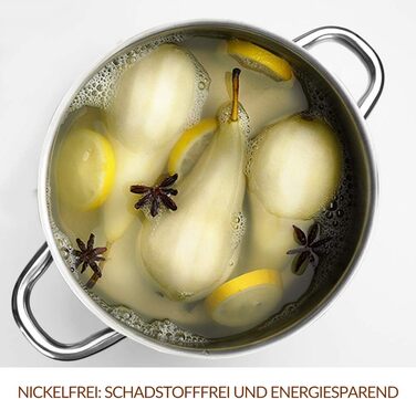 HOMICHEF Суповий каструля 9,5 л з кришкою, нікель-вільна нержавіюча сталь, індукційна, зручні ручки, полірована, срібляста, преміум-якість