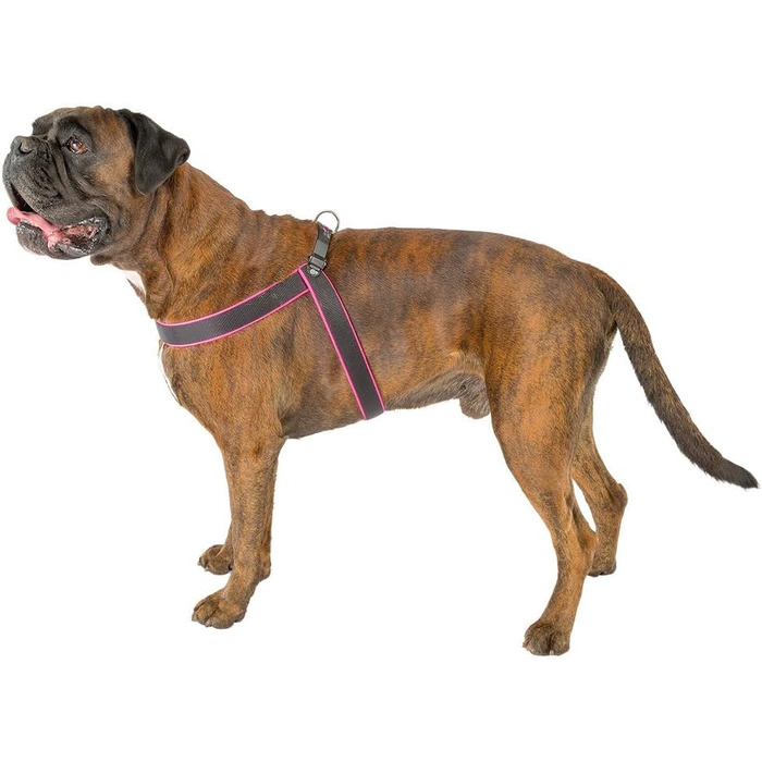 Шлейка для собак Ferplast Agila Fluo 3, неонова, розмір 3 (37-57 см), регульована, м'яка, зелена