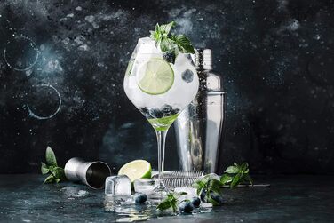 Набір для приготування коктейлів CocktailMeister Premium: шейкер, мірний стаканчик, рецепти коктейлів