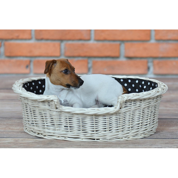 Wicker Dog Basket for Dog and Cat - Dog Bed, Cat Bed with Cushion, Pet Basket, Woven Cat Basket 60x43 H19 cm (80 x 60 x 26 cm, Beige)