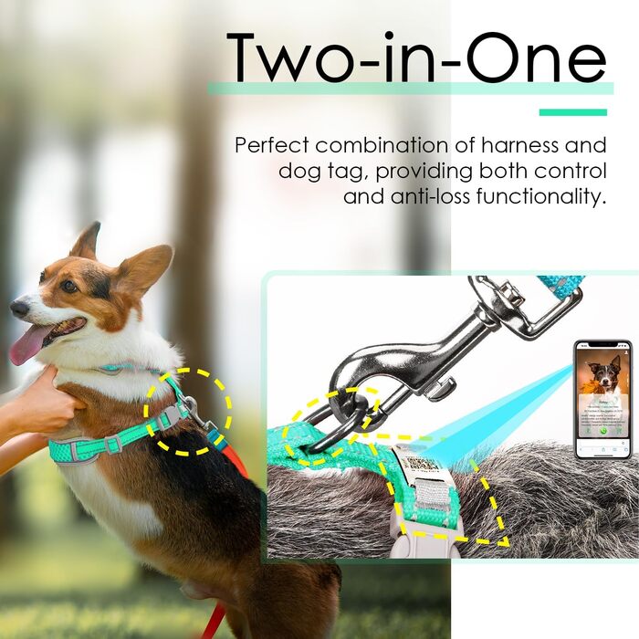 Відбиваюча нашийник для собак ThinkPet з Air-Mesh, QR-кодом, для цуценят та собак середніх розмірів, блакитно-зелений, 