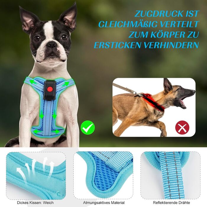 Світловідбиваючий нашийник для собак PZRLit з підзарядкою, для маленьких собак XS, LED нашийник для цуценят, безпечні прогулянки вночі (Блакитний)