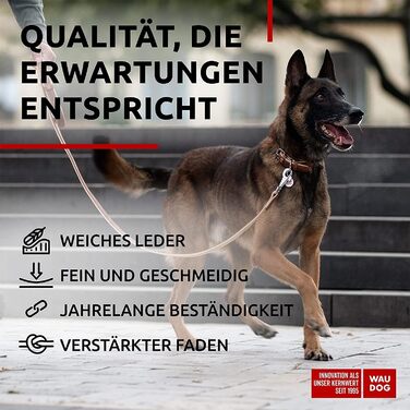Сумка для собак WAUDOG з натуральної шкіри, великі та середні породи, повсякденне використання, регульована довжина 27-36 см, ширина 15 мм, коричнева