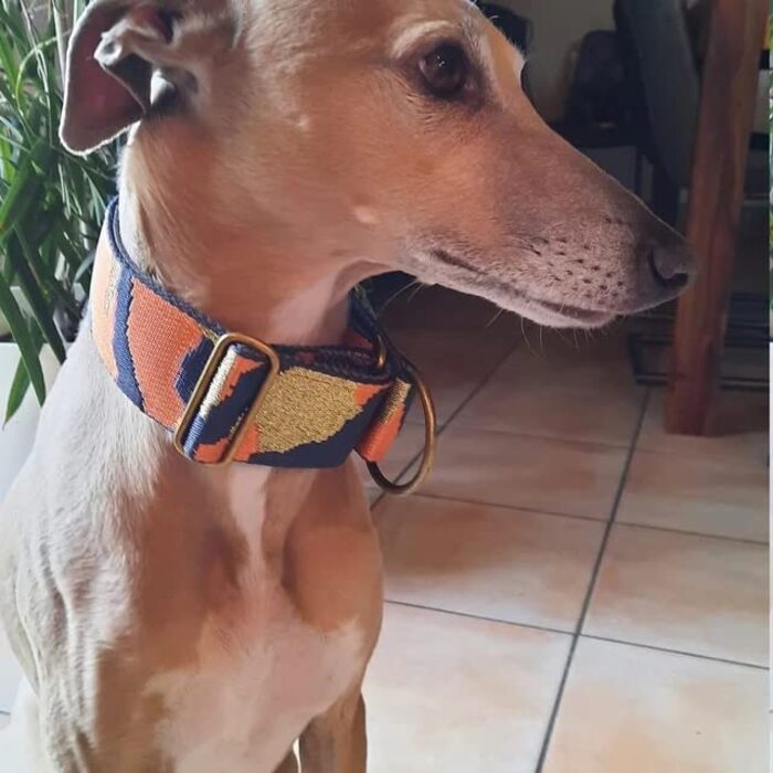 Нашийник для собак Zugstopp з м'якою підкладкою, мартингал, регульований (до 44 см), ширина 5 см, для тренувань, металеві деталі: латунь