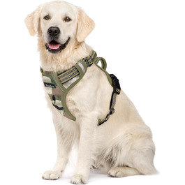 колір: танґрüн