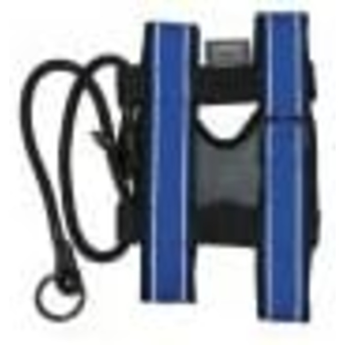 Cesar Millan Pack Leader Collar™ - The Dog Whisperer's Training Collar (Medium, Blue)